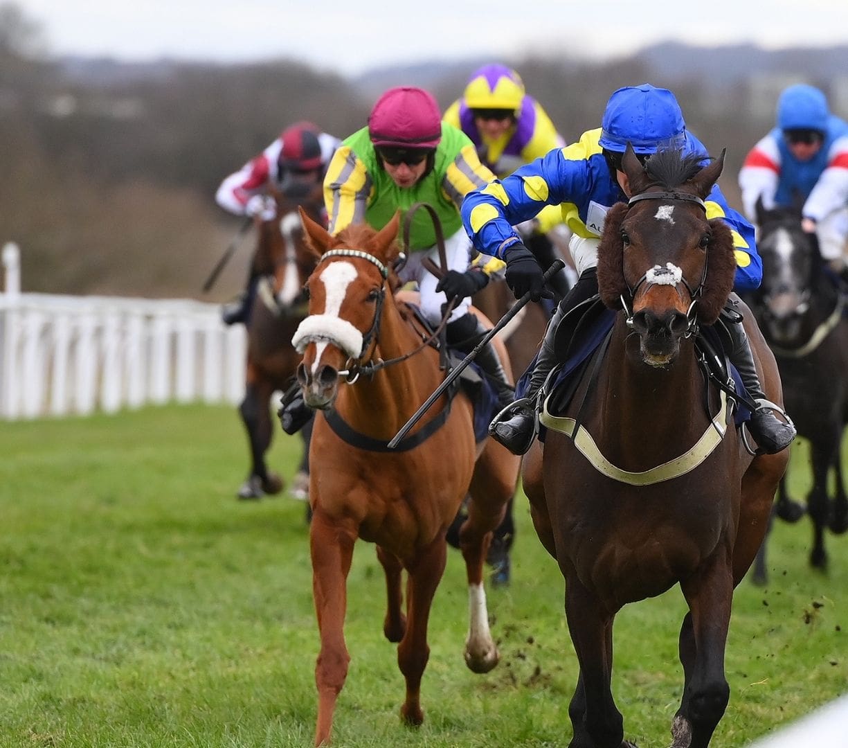 Home Page Menu - action shot where 6 jockeys cantering all on seal brown horses, wearing brightly coloured jockey silks