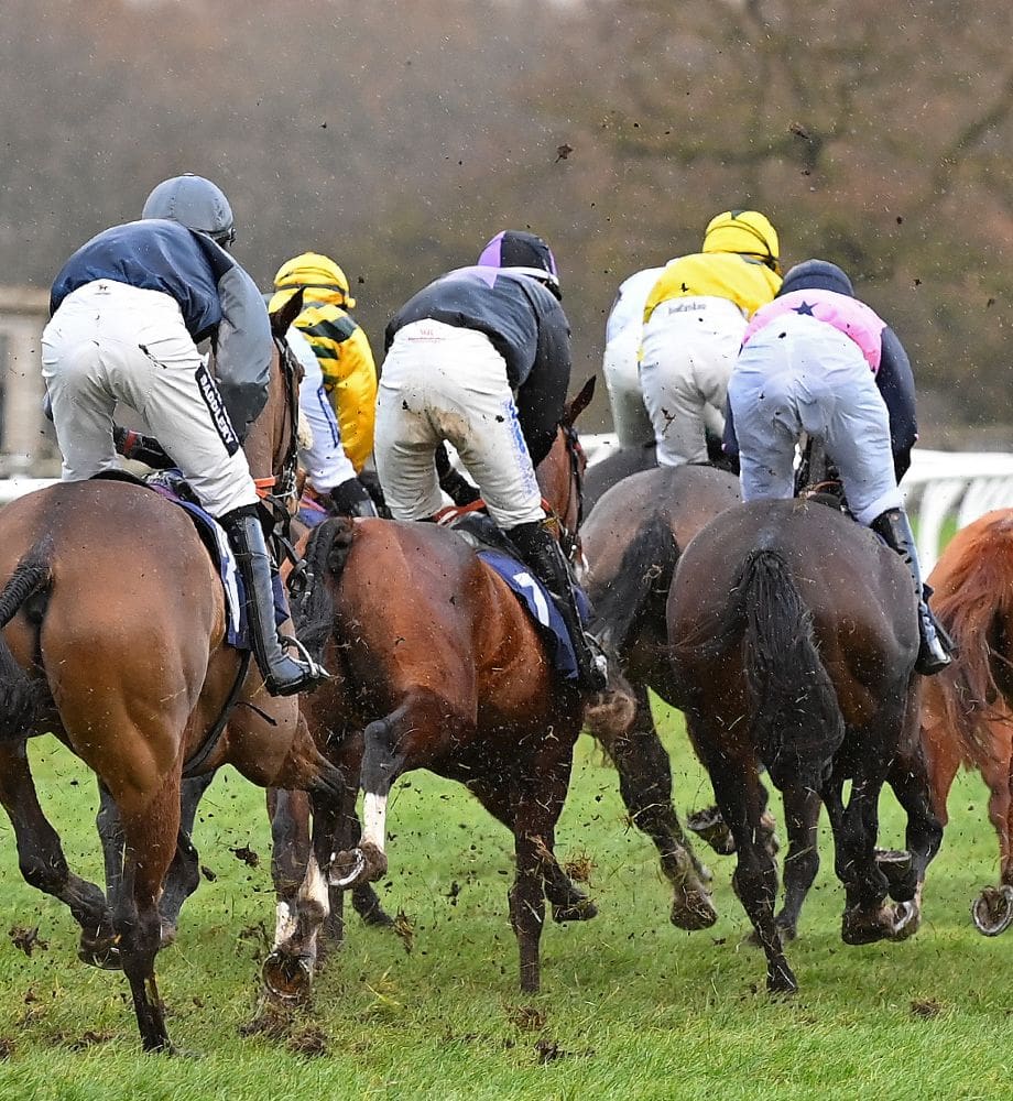 action shot where 6 jockeys cantering all on seal brown horses, wearing brightly coloured jockey silks